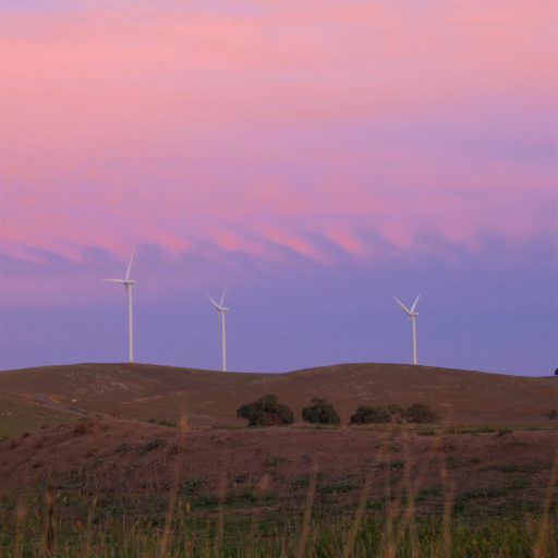 wind farm at sunset