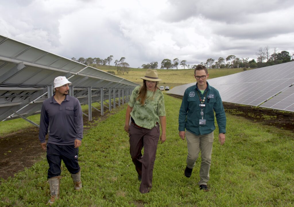 Remo Boscarino-Gaetano and Dr Eric Nordberg show Heidi McElnea fauna monitoring systems on the University's solar farm. They're walking through the middle of a solar array. 