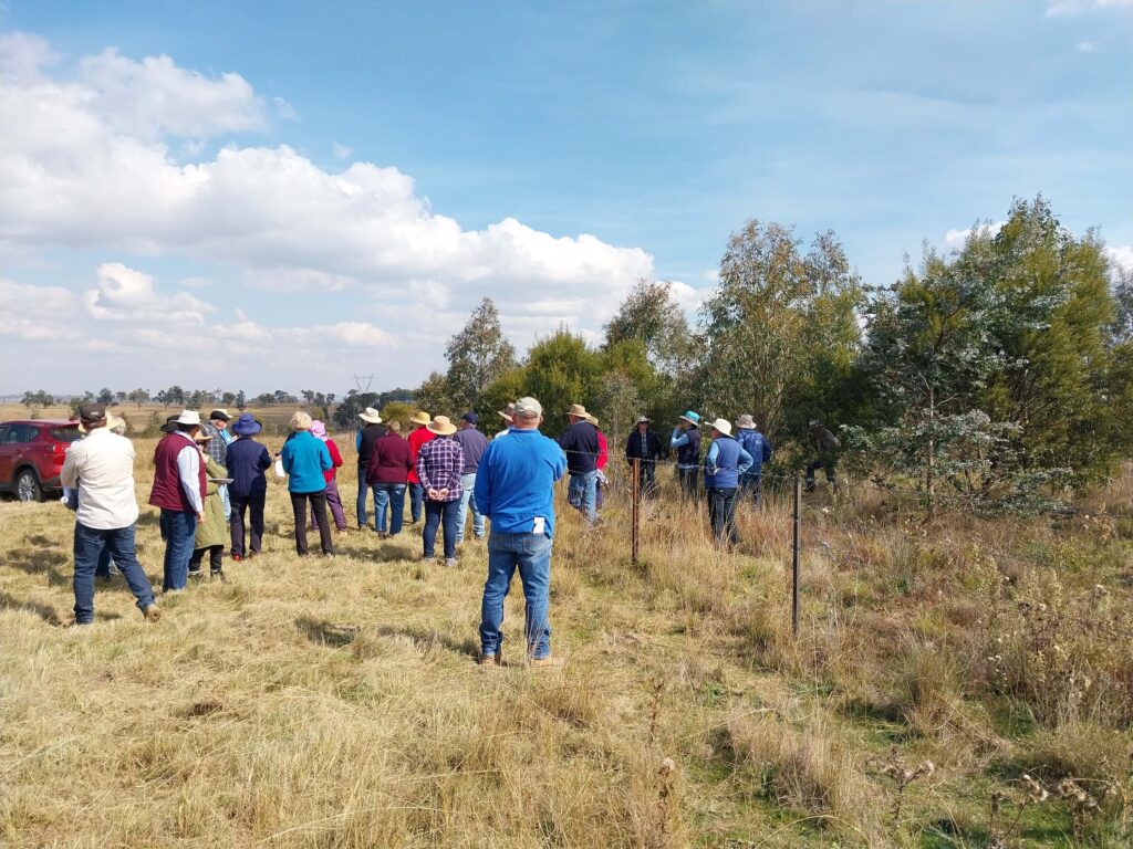 Group of local landcare members gather along a fence line in a paddock to view tree planting. 